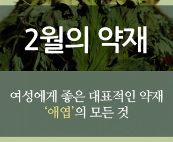 2월 헬스뉴스